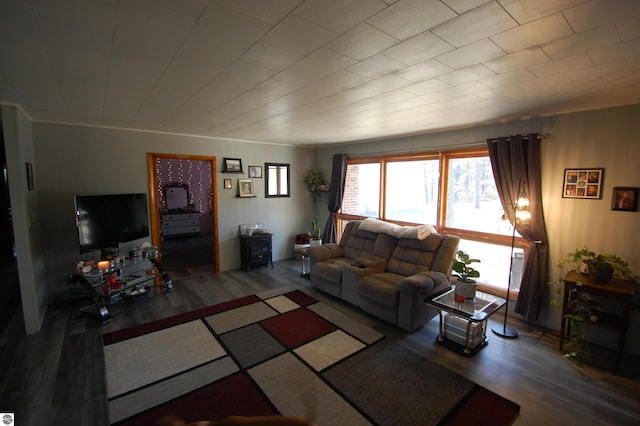 living room featuring hardwood / wood-style floors