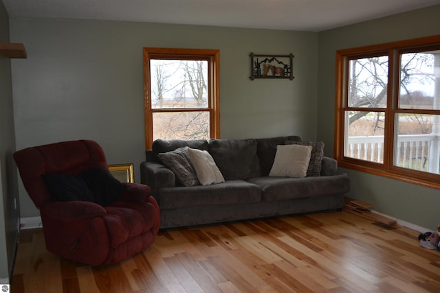 living room featuring a wealth of natural light and light hardwood / wood-style flooring