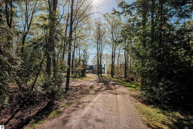 91 S Nanagosa Trl, Suttons Bay, MI 49682 - view of dirt / gravel road