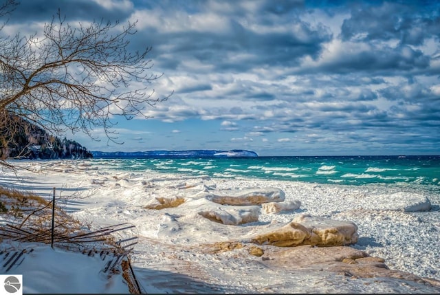 water view featuring a beach view