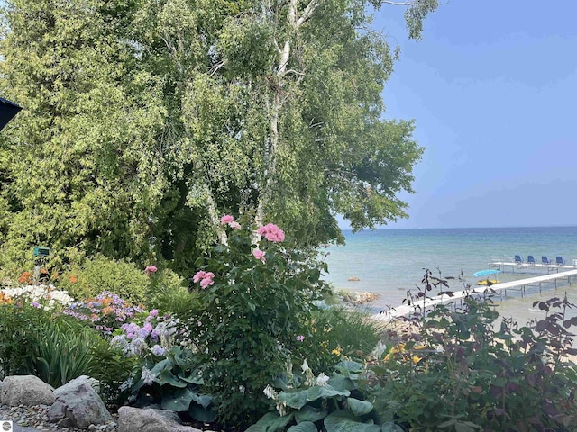 91 S Nanagosa Trl, Suttons Bay, MI 49682 - water view