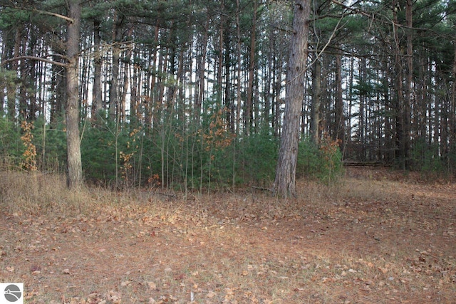 view of local wilderness