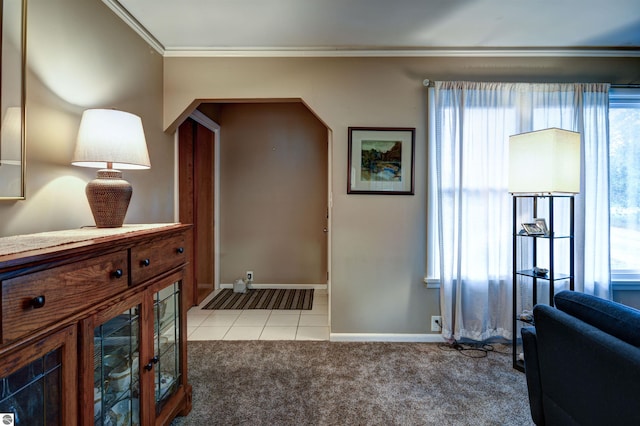 interior space featuring carpet, a wealth of natural light, and ornamental molding