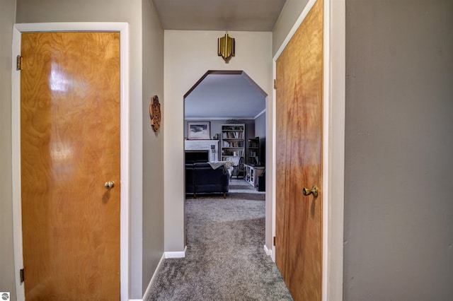 hallway with carpet floors