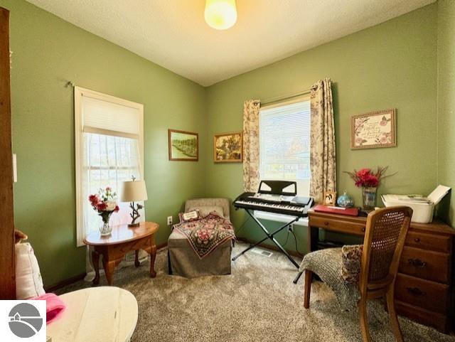 sitting room featuring a wealth of natural light and carpet