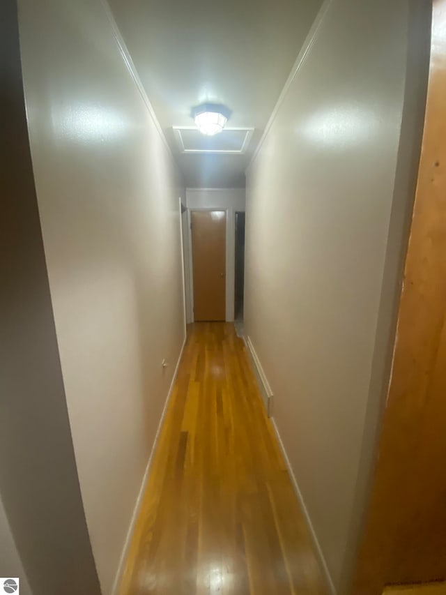 hall featuring light hardwood / wood-style floors and crown molding