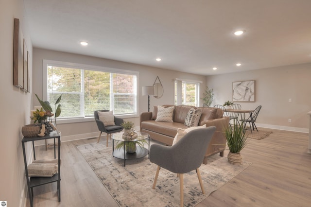 living room featuring light hardwood / wood-style flooring