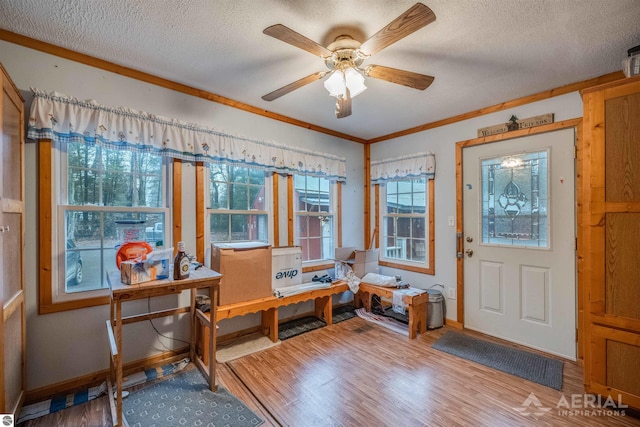 interior space with ceiling fan