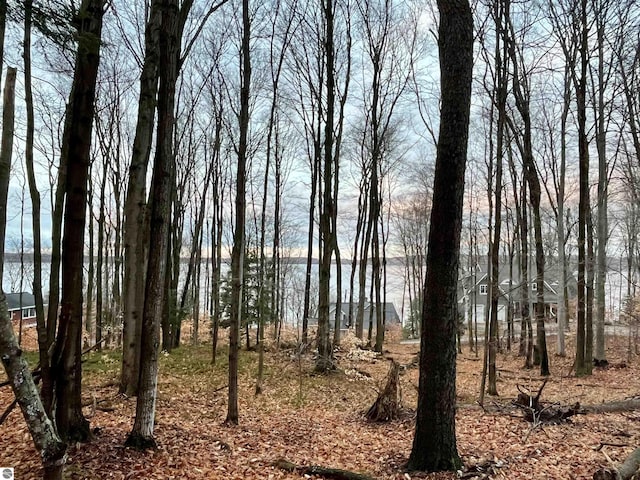 00 Treetops Ln, Frankfort MI, 49635 land for sale