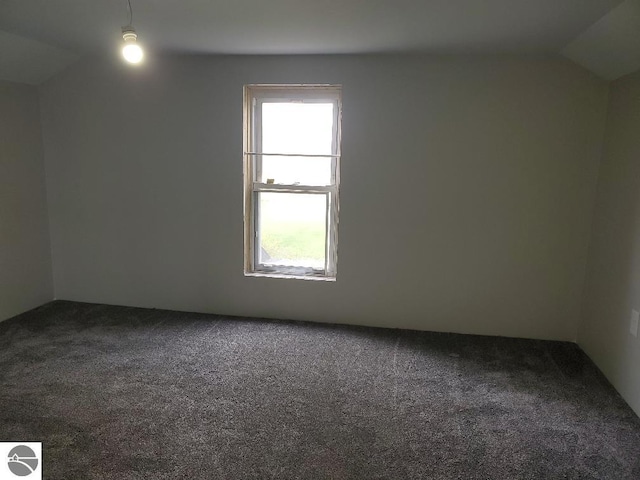 bonus room with carpet flooring and lofted ceiling