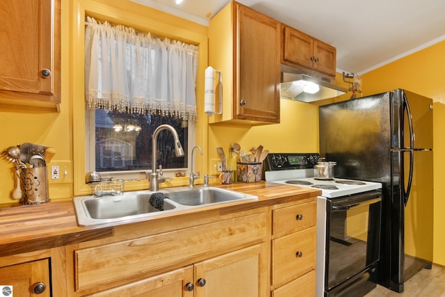 kitchen with white electric range oven, wood counters, ornamental molding, and sink