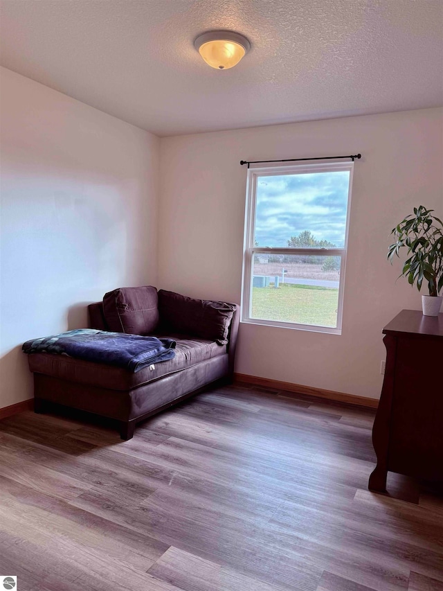 living area featuring light wood-type flooring and a textured ceiling