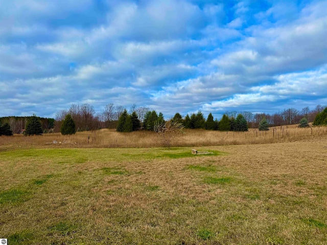 view of yard with a rural view