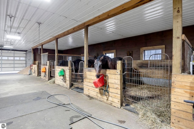 view of horse barn