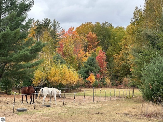 view of yard featuring a rural view