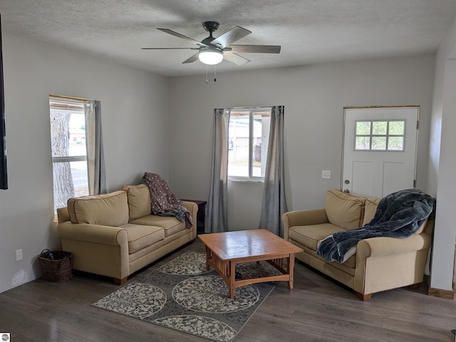 living room featuring a textured ceiling, dark hardwood / wood-style floors, and plenty of natural light