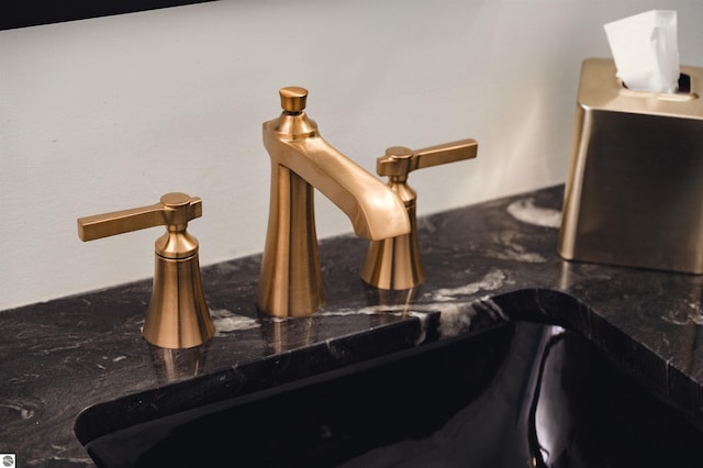 interior details featuring sink