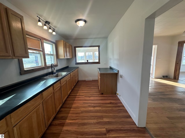 kitchen with sink and dark wood-type flooring