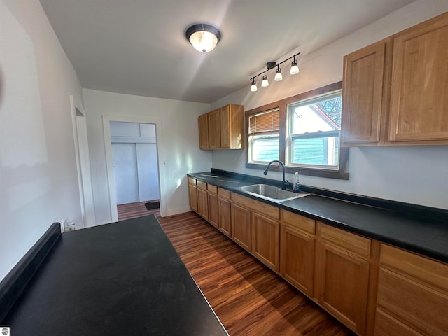 kitchen featuring dark hardwood / wood-style floors and sink