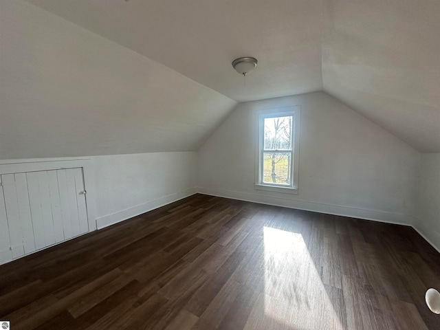 additional living space with dark hardwood / wood-style flooring and lofted ceiling