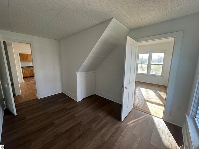 additional living space with dark wood-type flooring