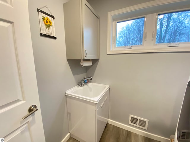 washroom featuring dark hardwood / wood-style floors and sink