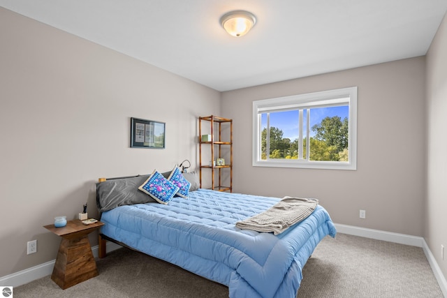 bedroom featuring carpet