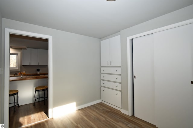 interior space featuring dark hardwood / wood-style floors and a closet