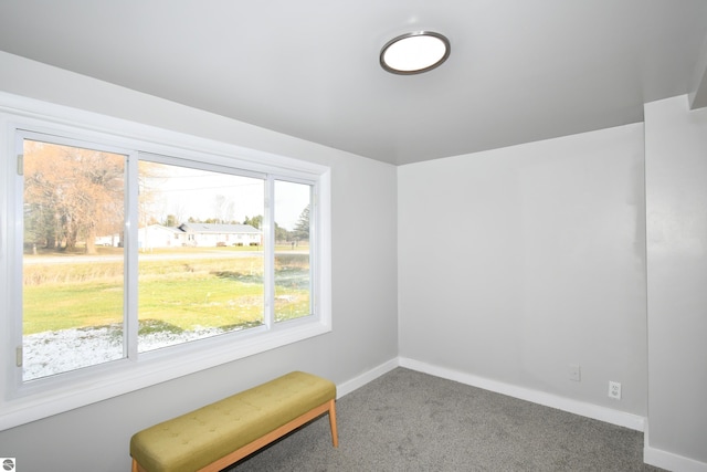 interior space with carpet floors