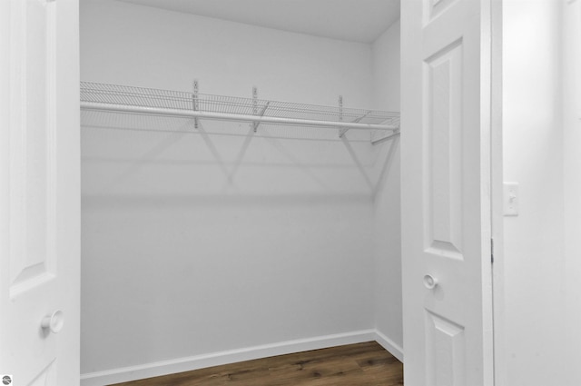 walk in closet featuring dark wood-type flooring