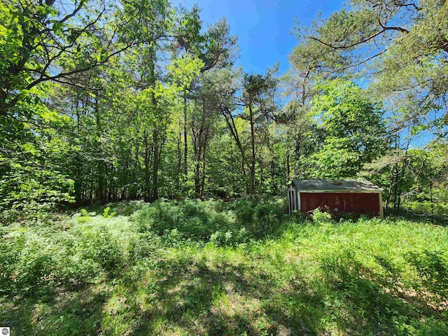 view of yard with a storage shed