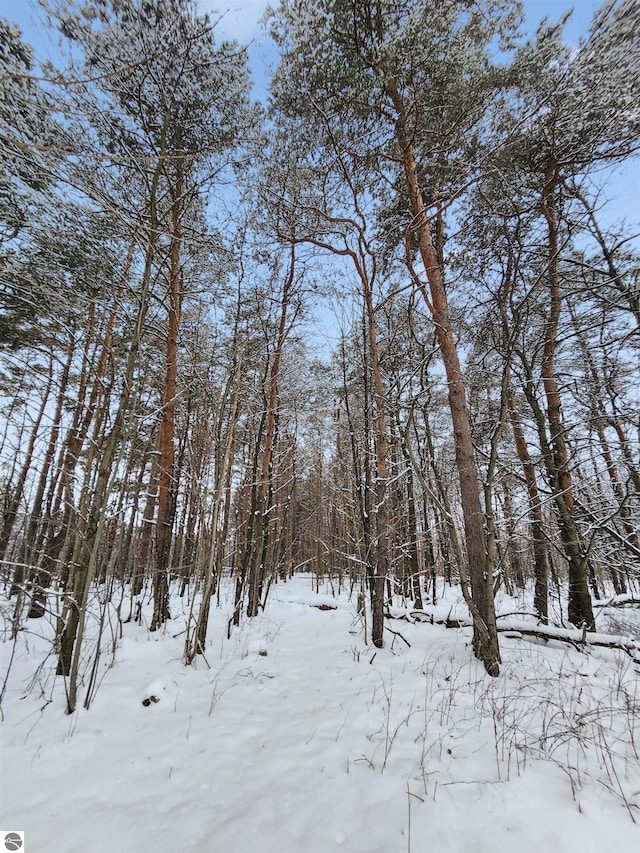 view of snow covered land