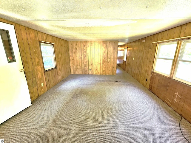 empty room featuring wooden walls, light carpet, a wealth of natural light, and a textured ceiling