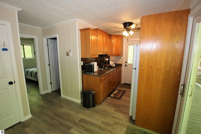 kitchen featuring dark hardwood / wood-style floors, white refrigerator, a wealth of natural light, and tasteful backsplash