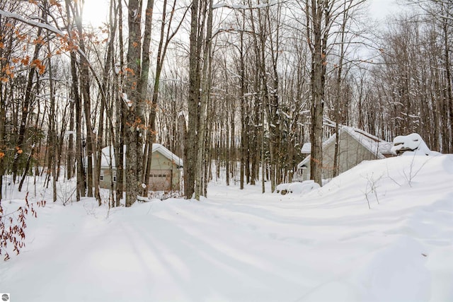 view of snowy landscape