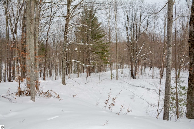 view of snowy landscape