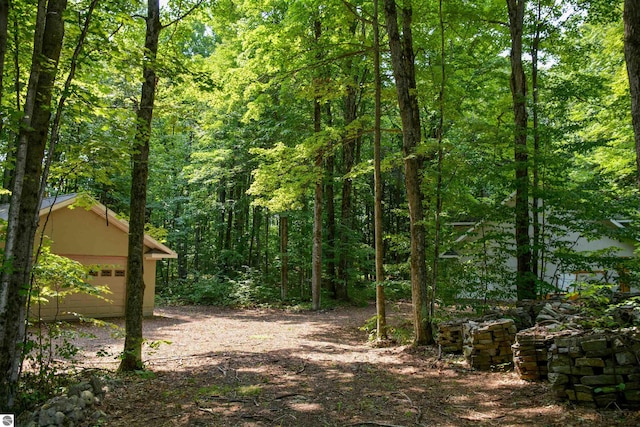 view of yard with a garage