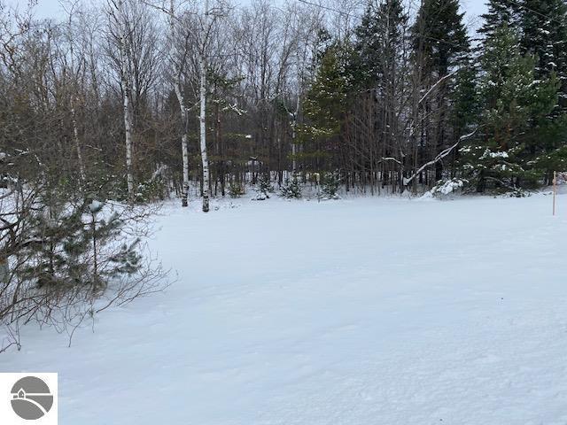 5766 Wallaker Rd, Benzonia, MI 49616