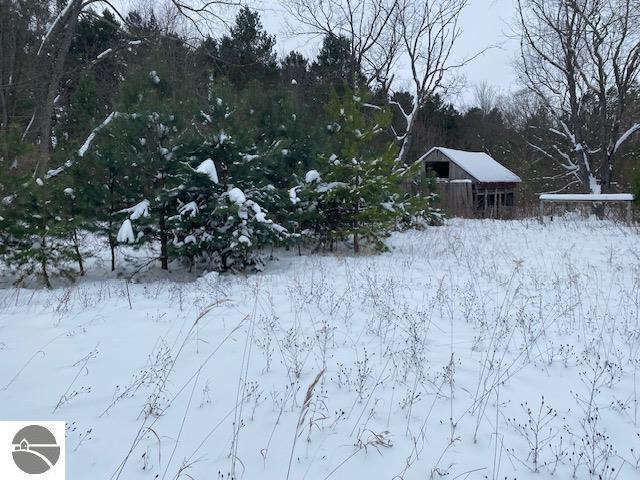 5766 Wallaker Rd, Benzonia, MI 49616