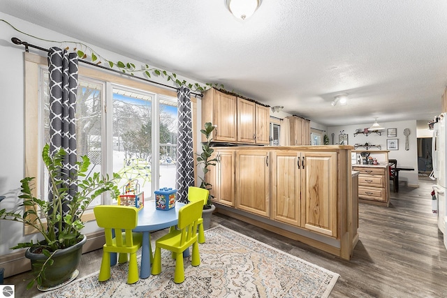 kitchen featuring light brown cabinetry, dark hardwood / wood-style flooring, and a textured ceiling