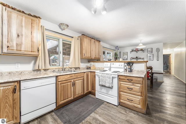 kitchen with kitchen peninsula, dark hardwood / wood-style flooring, white appliances, and a wealth of natural light