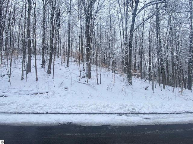 Listing photo 2 for LOT130 Maromir Ct, Bellaire MI 49615