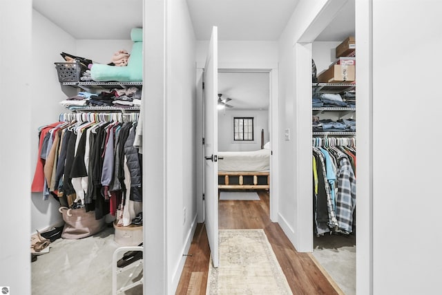 walk in closet with light hardwood / wood-style flooring and ceiling fan