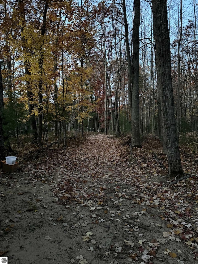 view of local wilderness