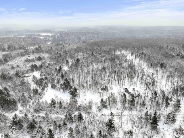 view of snowy aerial view