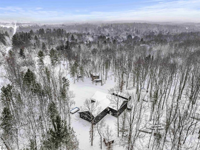 view of snowy aerial view