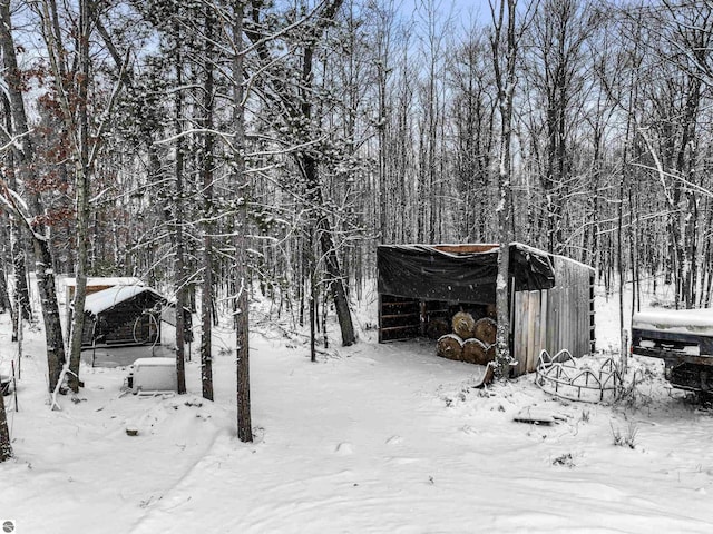 yard covered in snow with an outbuilding