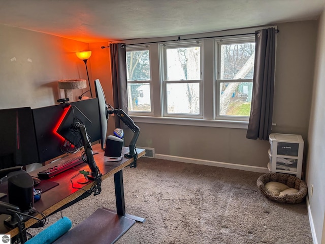 interior space featuring carpet and a wealth of natural light