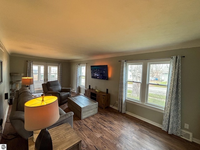 living room with wood-type flooring and a wealth of natural light