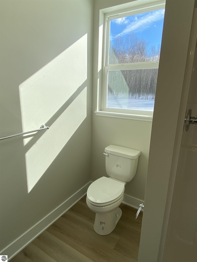 bathroom featuring wood-type flooring and toilet